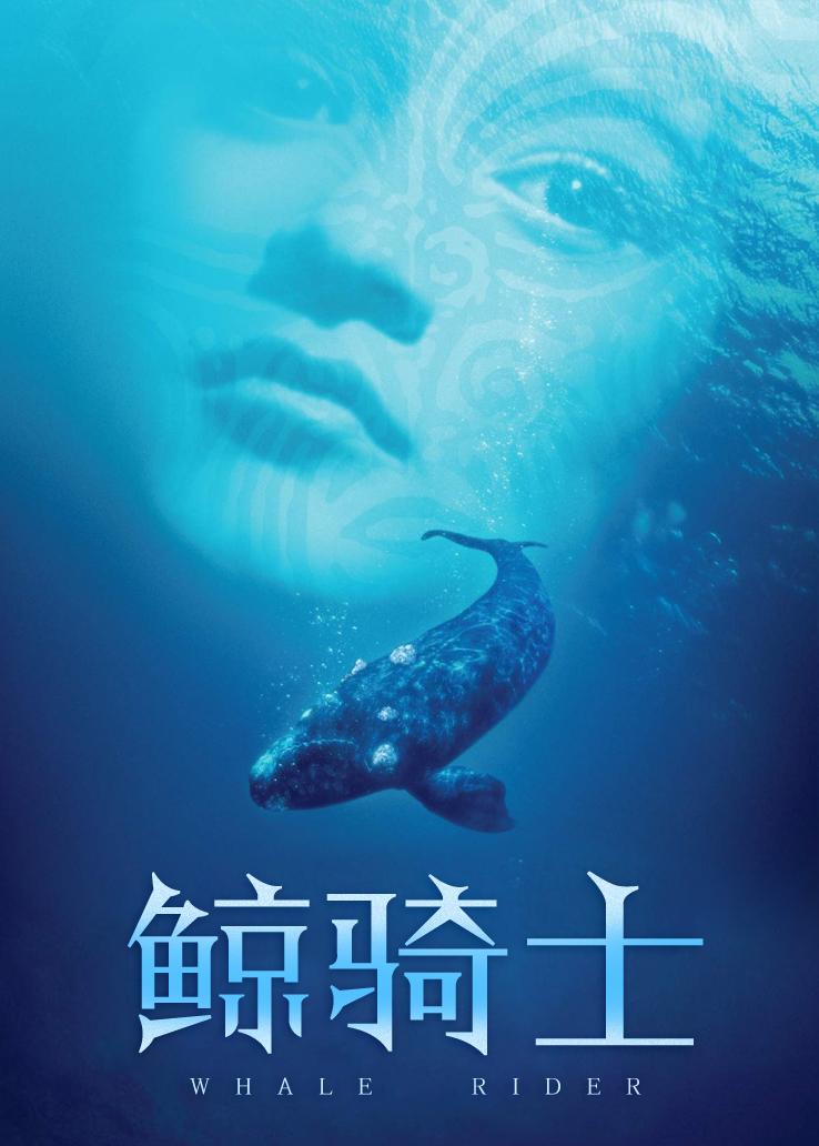 鲸骑士封面图
